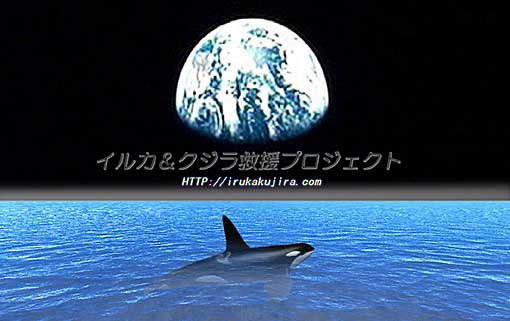 Space_Orca